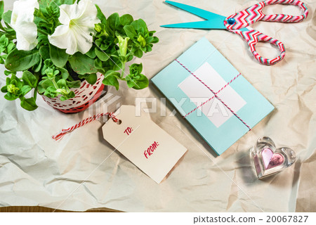 Lovely cards,tags,Petunia,heart shape 20067827