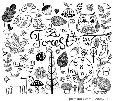 Forest design elements in doodle style 20067948