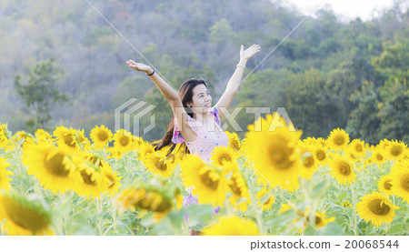 Happy woman in beauty field with sunflowers 20068544