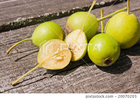 Wild pears fruit on the vintage wooden background. Wild pears fruit on the vintage wooden background. 20070203