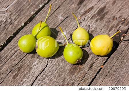 Wild pears fruit on the vintage wooden background. Wild pears fruit on the vintage wooden background. 20070205