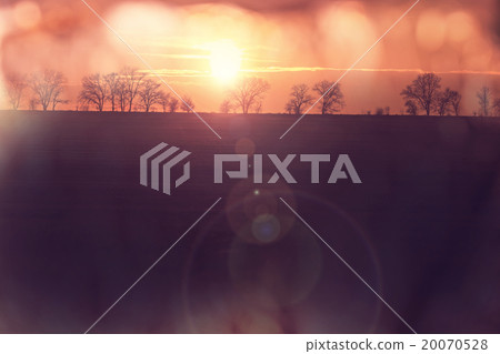 Field on sunset 20070528