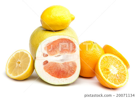 Fresh citrus fruits orange, lemon and grapefruit 20071134