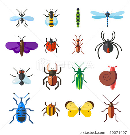 Insect icon flat set isolated on white background Insect icon flat set isolated on white background 20071407