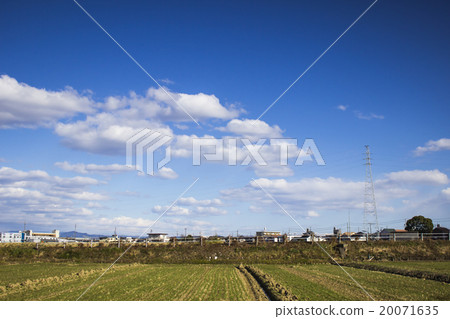 Scenery with rice field Scenery with rice field 20071635