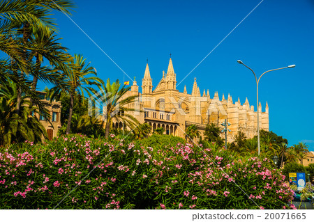Cathedral of Palma de Mallorca.  20071665