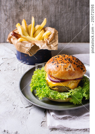 Homemade hamburger with french fries 20072098