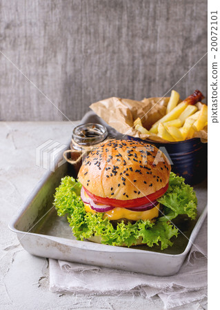 Homemade hamburger with french fries Homemade hamburger with french fries 20072101