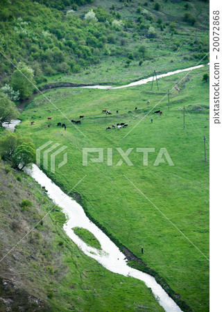 River in a beautiful green nature reserve River in a beautiful green nature reserve 20072868