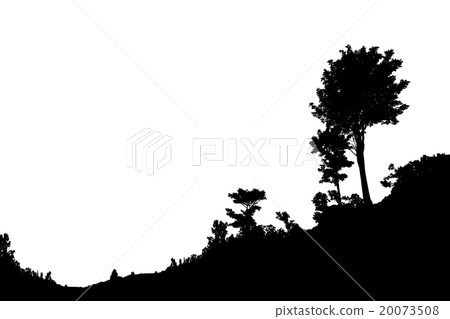 Silhouette of Tree 20073508