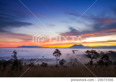 misty morning sunrise at Thung Salang Luang  20073566
