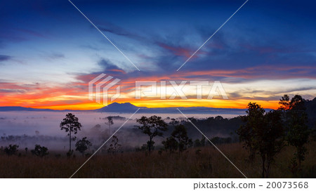 misty morning sunrise at Thung Salang Luang  20073568