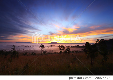misty morning sunrise at Thung Salang Luang misty morning sunrise at Thung Salang Luang 20073572
