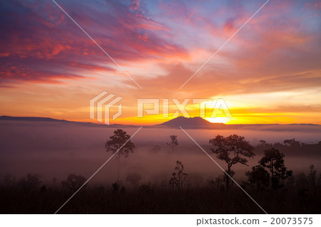 misty morning sunrise at Thung Salang Luang misty morning sunrise at Thung Salang Luang 20073575
