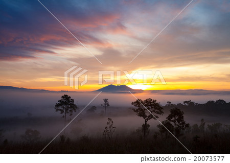 misty morning sunrise at Thung Salang Luang misty morning sunrise at Thung Salang Luang 20073577
