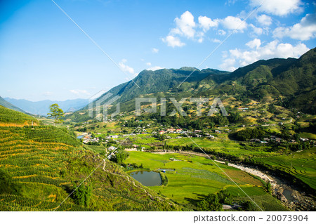 Rice Terrace 20073904