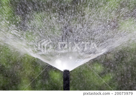 sprinkler head watering the bush and grass sprinkler head watering the bush and grass 20073979