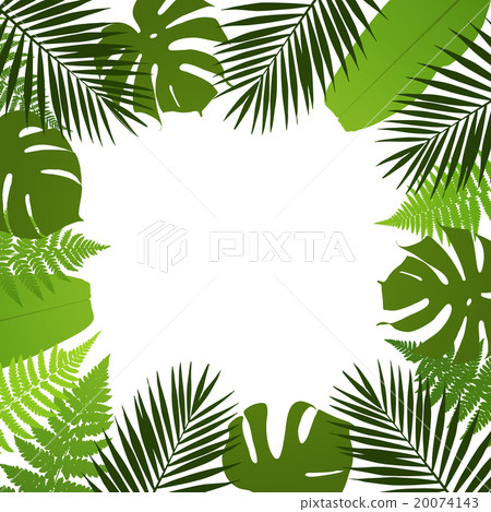 Tropical leaves background. 20074143