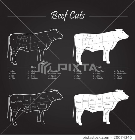 Beef cuts scheme Beef cuts scheme 20074340