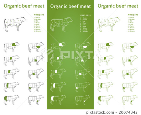 Beef icons cut set 20074342