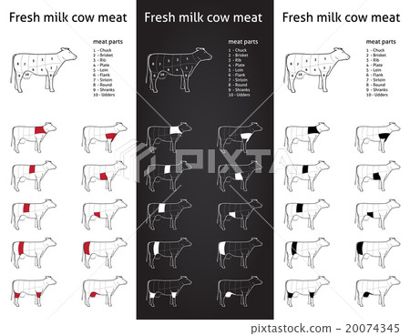 Fresh milk cow meat cut set Fresh milk cow meat cut set 20074345