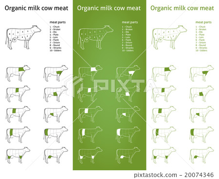 Organic milk cow cut set Organic milk cow cut set 20074346
