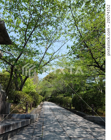 Komorebi Komorebi 20074352