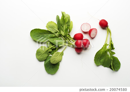Radishes 20074580