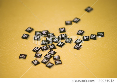 microchips microchips 20075012