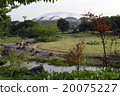 Niigata Stadium "Big Swan" that I wish from Toriyagata Park (Kanagi area) Niigata Stadium "Big Swan" that I wish from Toriyagata Park (Kanagi area) 20075227