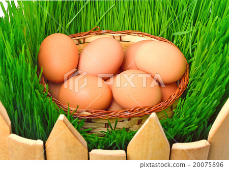 easter eggs in basket against the green grass 20075896