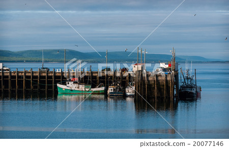 Fishing boats in the harbour at low tide in Digby. 20077146