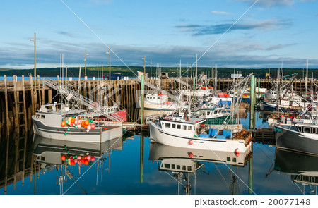 Fishing boats in the harbour at low tide in Digby. 20077148
