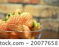 White strawberry 20077658