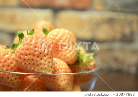 White strawberry 20077658