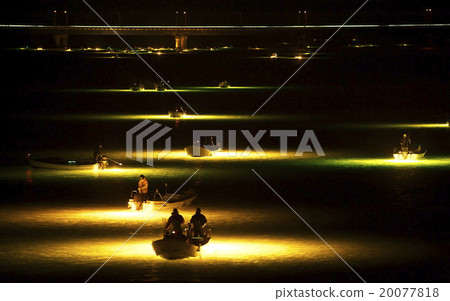 Shirasu鰻魚釣Yoshinogawa 20077818