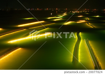 Shirasu鰻魚釣Yoshinogawa 20077824