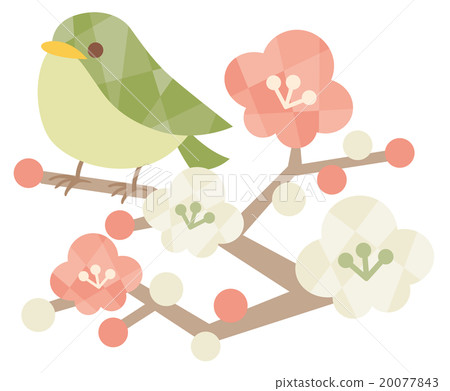 梅鶯 梅鶯 20077843