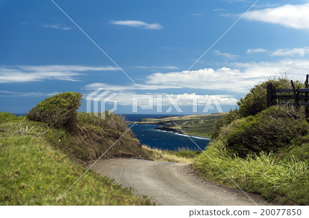 Pei Lani Highway, Maui, Hawaii -4 20077850