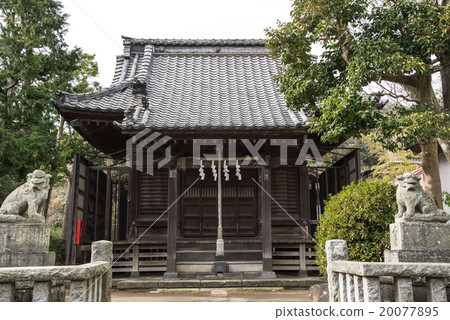 Yasaka Ogami 20077895