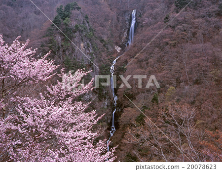 Eight falls of early spring 20078623