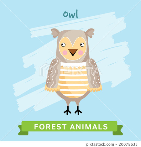 Owl Vector, forest animals.  20078633