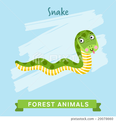 Snake Vector, forest animals.  20078660