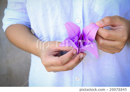 Making Origami Lilac 20078845