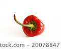 top of a pepper 20078847