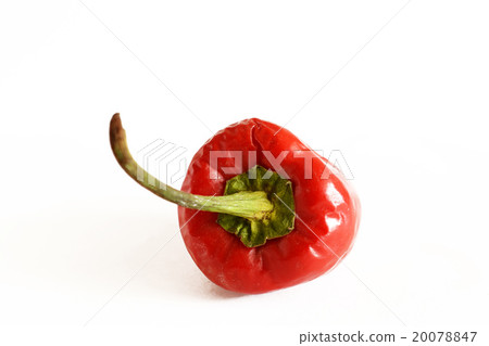 top of a pepper 20078847