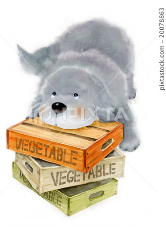 下巴在木盒子裡 20078863