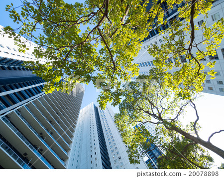 高層公寓街道和種植 高層公寓街道和種植 20078898