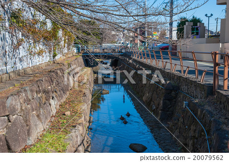 Tokyo Setagaya walk, iso force area 20079562