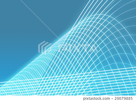 The network The network 20079885